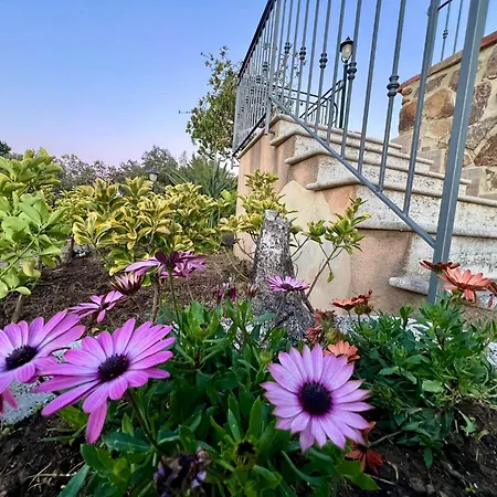 Aparthotel Sea Terrace