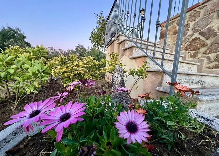 Апарт-готель Sea Terrace